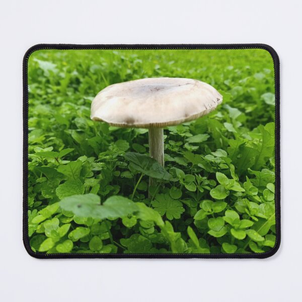 Item preview, Wild Mushroom in a Green Meadow - Macro Nature Photography | Forest Mushroom After Rain designed and sold by artofuniverse.
