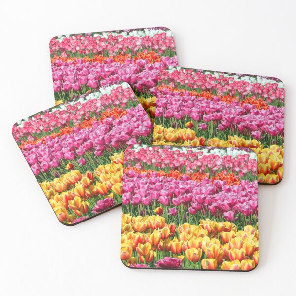 Item preview, Rainbow Tulip Fields – Colourful Spring Flower Photography designed and sold by ThatSurreyLife.