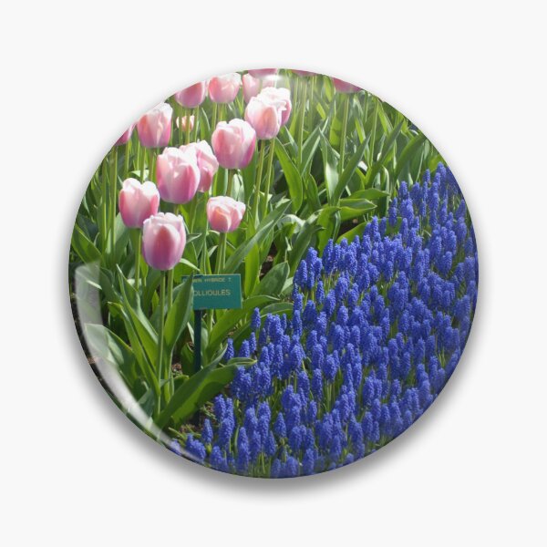 Item preview, Pink Tulips and Blue Grape Hyacinths – Spring Garden Photography designed and sold by ThatSurreyLife.