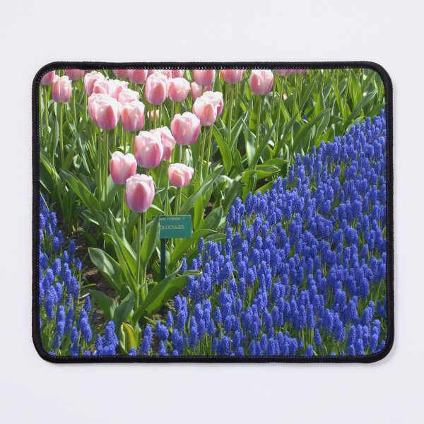 Item preview, Pink Tulips and Blue Grape Hyacinths – Spring Garden Photography designed and sold by ThatSurreyLife.