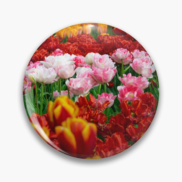Item preview, Colourful Tulip Fields in Spring – Floral Garden Photography designed and sold by ThatSurreyLife.