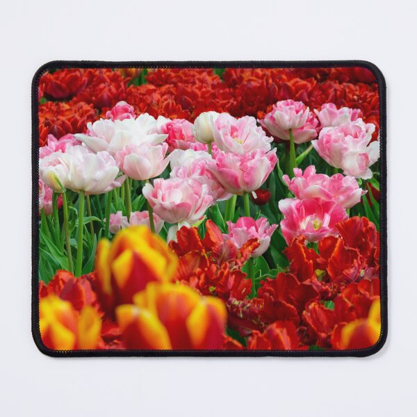 Item preview, Colourful Tulip Fields in Spring – Floral Garden Photography designed and sold by ThatSurreyLife.