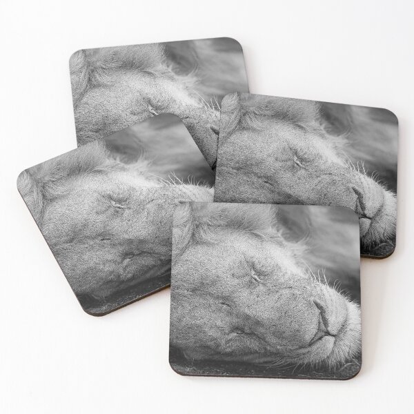 Item preview, Serenity: Close Up Portrait of a Sleeping Lion. designed and sold by OlaniPictures.