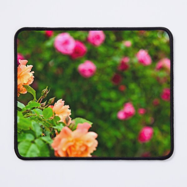 Item preview, Orange roses garden in spring, nature background, Volksgarten, Vienna, Austria designed and sold by goceris.