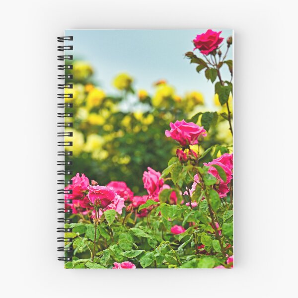 Item preview, Red roses garden in spring, nature background, Volksgarten, Vienna, Austria designed and sold by goceris.