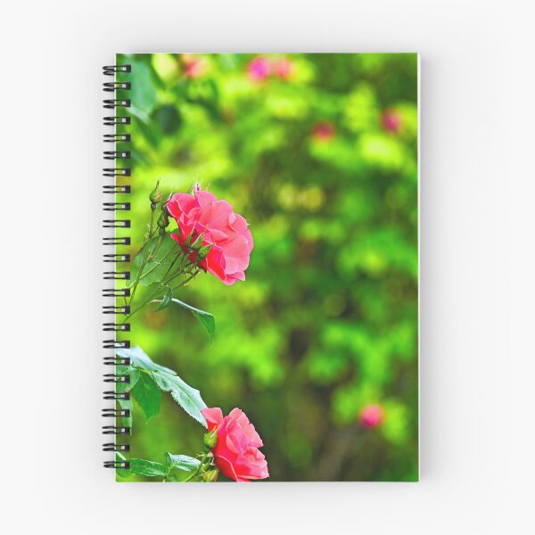 Item preview, Roses garden in spring, nature background, Volksgarten, Vienna, Austria designed and sold by goceris.