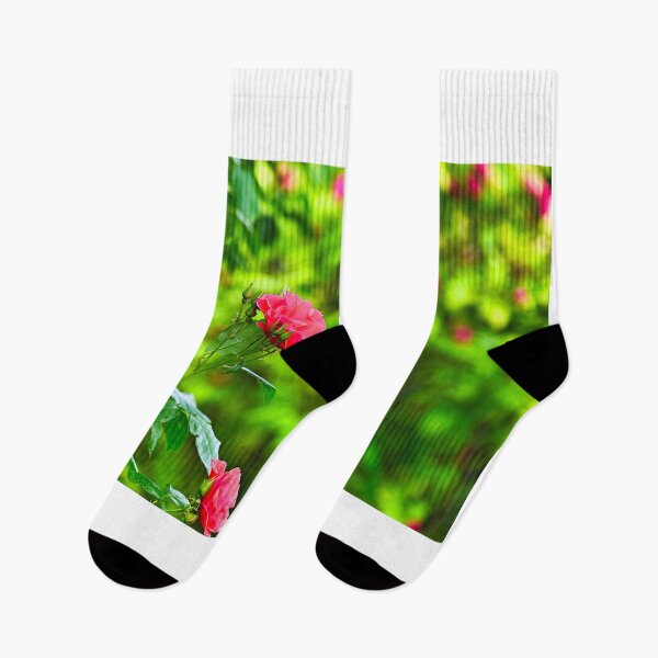 Item preview, Roses garden in spring, nature background, Volksgarten, Vienna, Austria designed and sold by goceris.