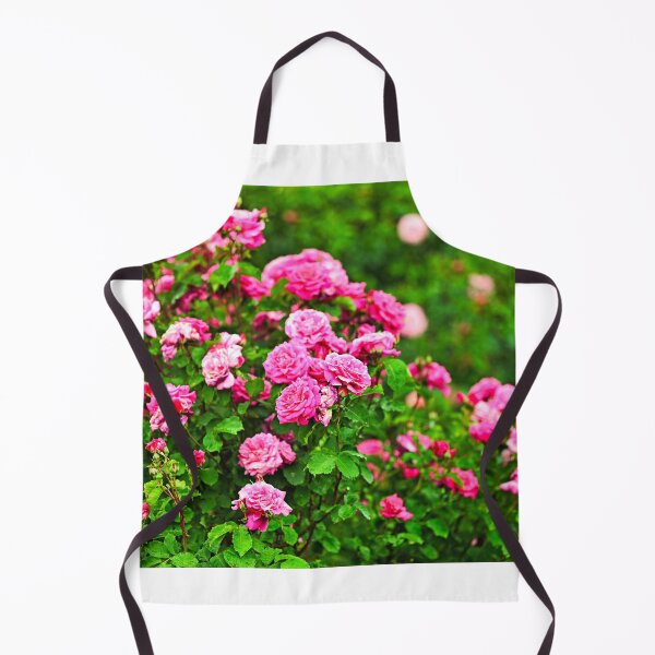 Item preview, Roses garden in spring, Volksgarten, Vienna, Austria designed and sold by goceris.