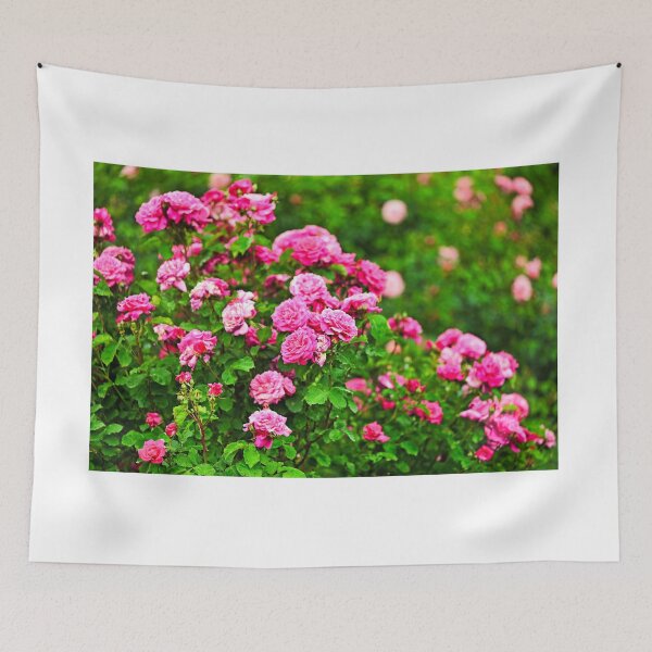 Item preview, Roses garden in spring, Volksgarten, Vienna, Austria designed and sold by goceris.
