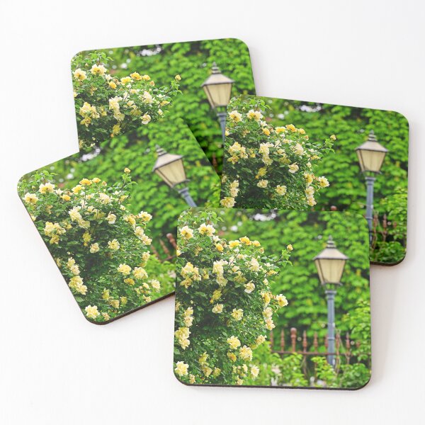 Item preview, Yellow roses garden in spring, Volksgarten, Vienna, Austria designed and sold by goceris.