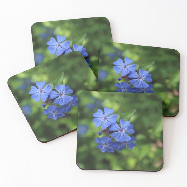 Item preview, Blue plumbago blossoms - Serene botanical nature photography designed and sold by Cha-s-lens.