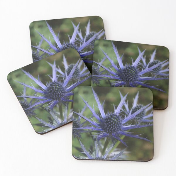 Item preview, Blue sea holly - Dramatic botanical flower photography designed and sold by Cha-s-lens.