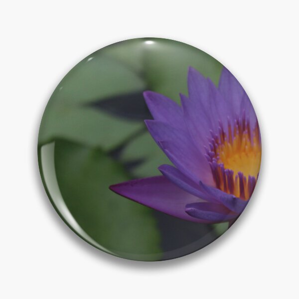 Item preview, Lotus flower - Nature photography  designed and sold by Cha-s-lens.