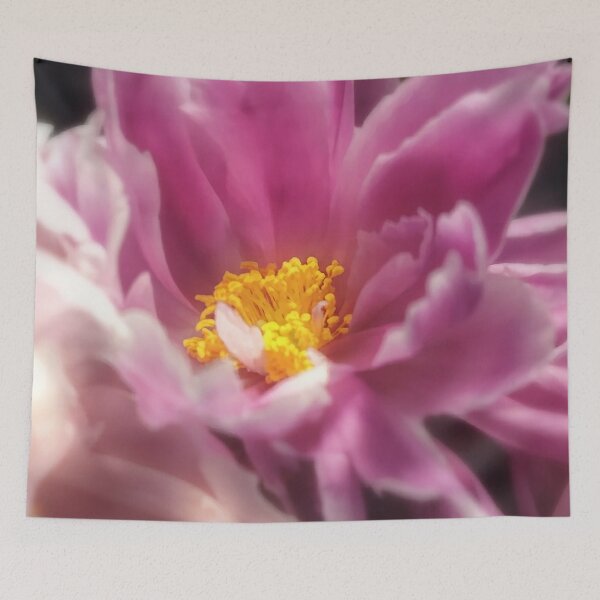 Item preview, Soft Dreamy Pink Peony Blossom designed and sold by Apex_Visuals.