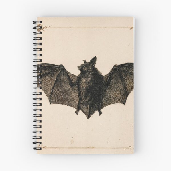 Item preview, T-Shirt - Sticker - Antique Bat Anatomy Elegance designed and sold by ForeverPrintsOK.