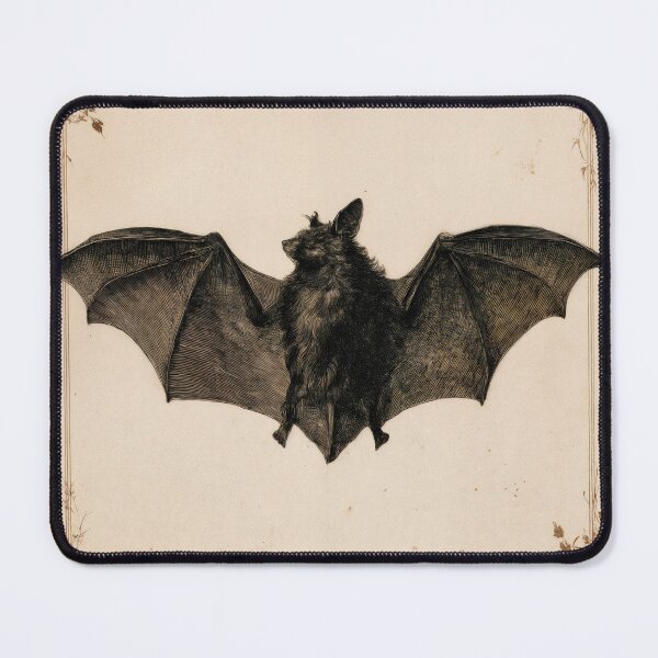 Item preview, T-Shirt - Sticker - Antique Bat Anatomy Elegance designed and sold by ForeverPrintsOK.