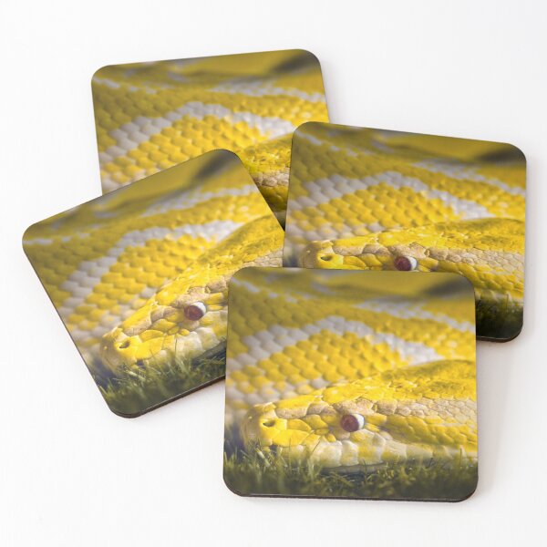 Item preview, Albino python close-up with yellow and white scales designed and sold by RastislavS.