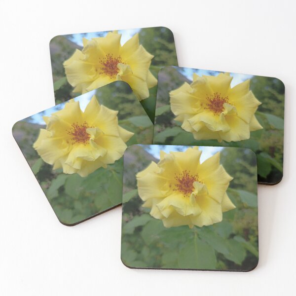 Item preview, Yellow Rose Blossom in Bloom with Natural Green Background designed and sold by PhuongVoArt.