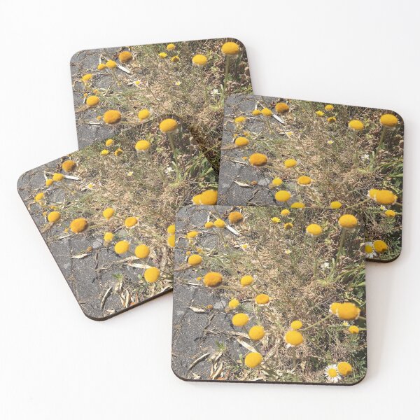 Item preview, Yellow Pineappleweed Wildflowers Growing Along Sunny Pathway designed and sold by PhuongVoArt.