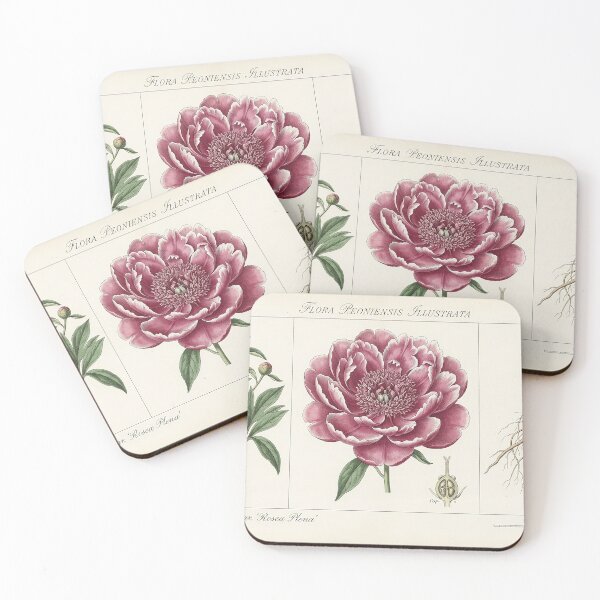 Item preview, Vintage Botanical Illustration Pink Peony Study designed and sold by Apex_Visuals.
