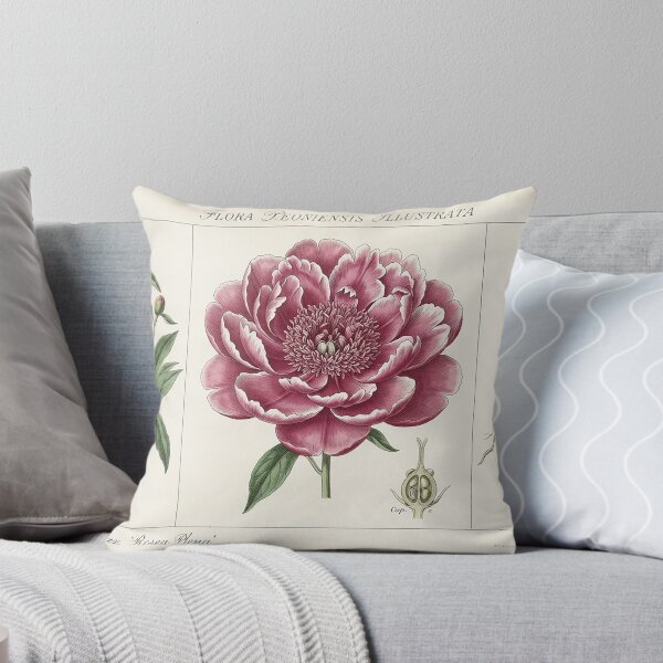 Item preview, Vintage Botanical Illustration Pink Peony Study designed and sold by Apex_Visuals.