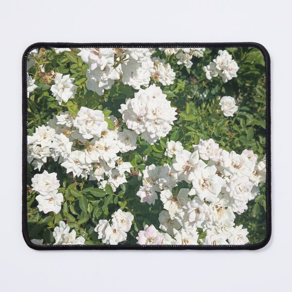 Item preview, White Rose Blossoms Blooming in a Lush Summer Garden designed and sold by PhuongVoArt.