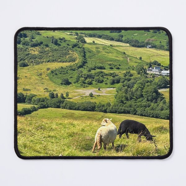 Item preview, Sheep Grazing on the hillside at Dare Valley in South Wales designed and sold by Violaman.