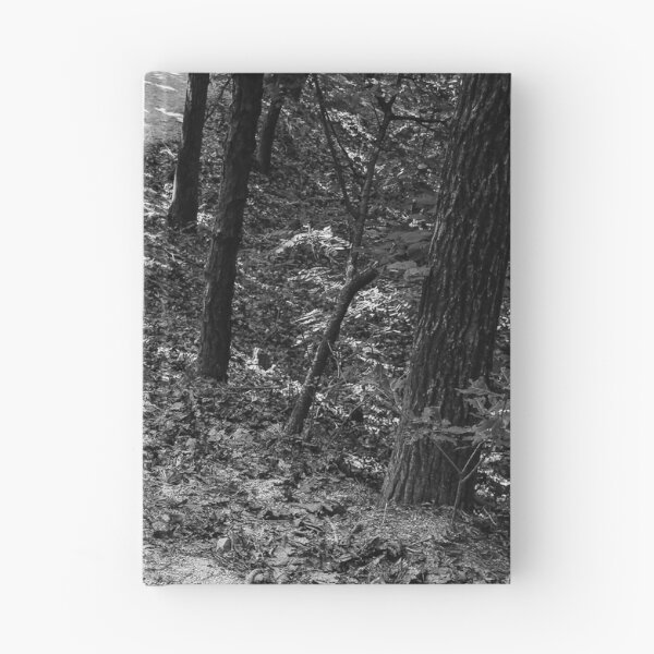 Item preview,  Sunlit Wooden Steps Through Quiet Forest | 서울둘레길 designed and sold by HyunDam.
