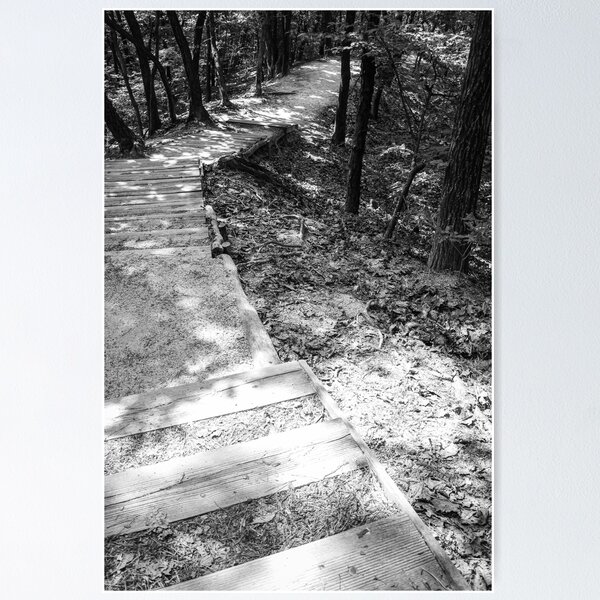 Item preview,  Sunlit Wooden Steps Through Quiet Forest | 서울둘레길 designed and sold by HyunDam.