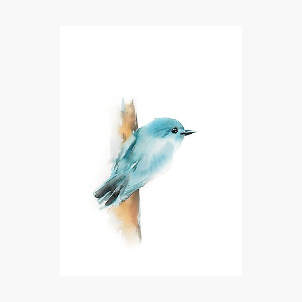 Item preview, Pájaro designed and sold by CanotStop.