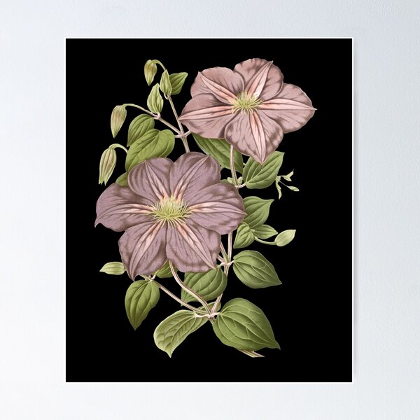 Item preview, Vintage Moody Mauve Floral Botanical Art designed and sold by Jyoti-Quotes.