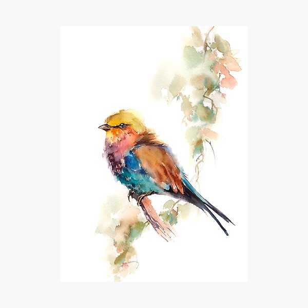 Item preview, Bird designed and sold by CanotStop.