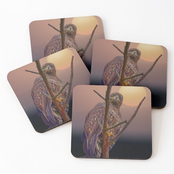 Item preview, Juvenile Eagle makes eye contact.  designed and sold by South 500 Photography.