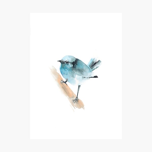 Item preview, Bird designed and sold by CanotStop.