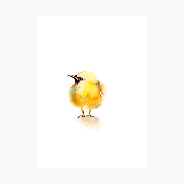 Item preview, Bird designed and sold by CanotStop.