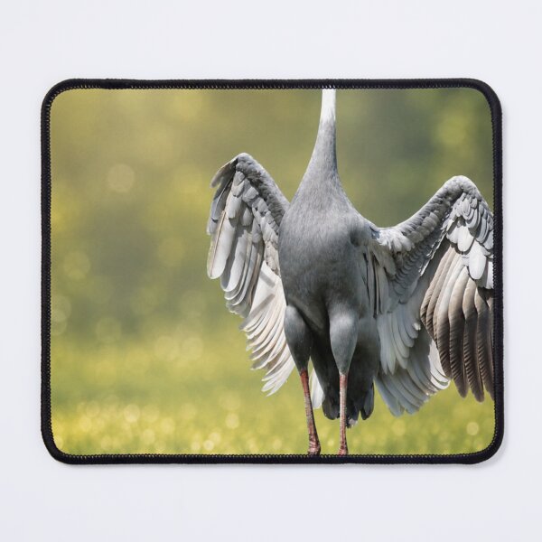 Item preview, Graceful Sarus Crane Display at Sunrise designed and sold by Kimberly Palmer.