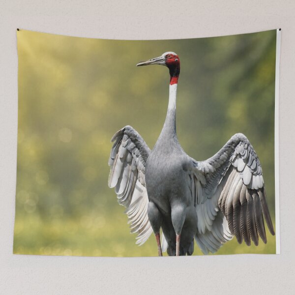 Item preview, Graceful Sarus Crane Display at Sunrise designed and sold by Kimberly Palmer.