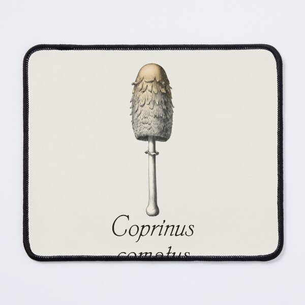 Item preview, Ink Cap Mushroom Vintage Botanical Mystical Mycology designed and sold by Cozy Aesthetic design .