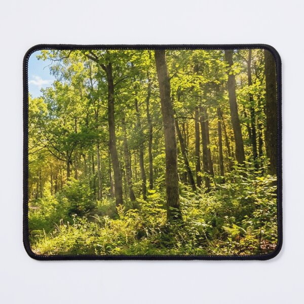 Item preview, forest designed and sold by Vibeprintstyle.