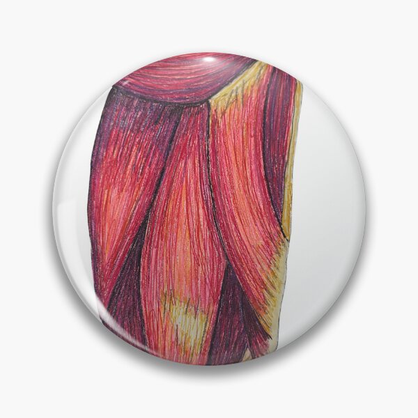 Item preview, hamstring muscles designed and sold by JJPA-C.
