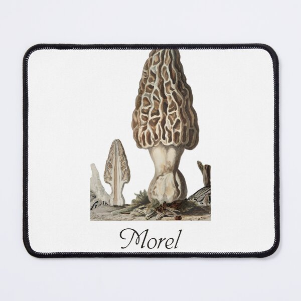 Item preview, Morel Mushroom Vintage Botanical Mystical Mycology designed and sold by Cozy Aesthetic design .