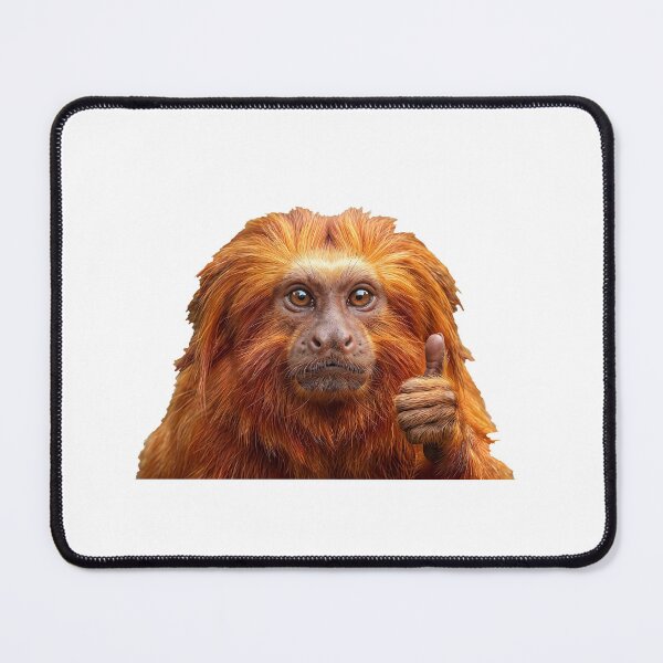 Item preview, Golden-Lion-Tamarin (Mico-Leão-Dourado) designed and sold by Caiprus.