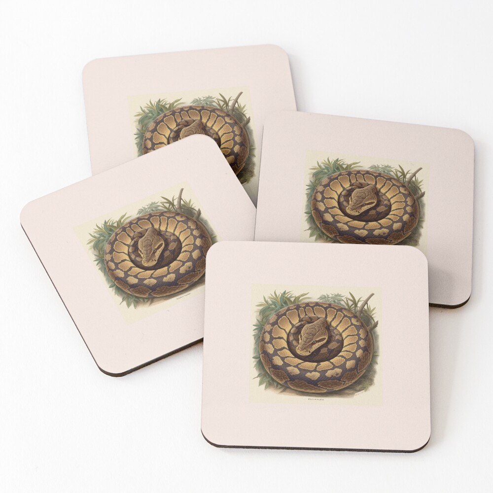 Item preview, Coasters (Set of 4) designed and sold by PTB-SHOP.
