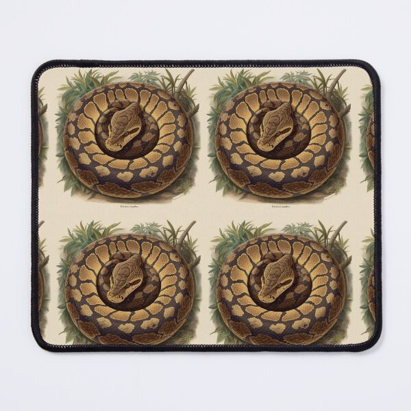 Item preview, The Ball Python designed and sold by PTB-SHOP.