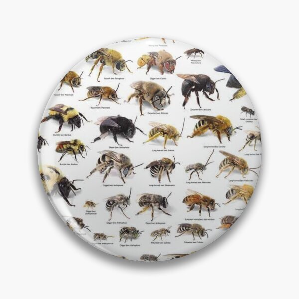Item preview, Types of bees  designed and sold by soulsurferart.