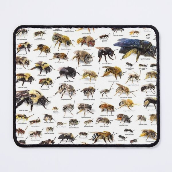 Item preview, Types of bees  designed and sold by soulsurferart.