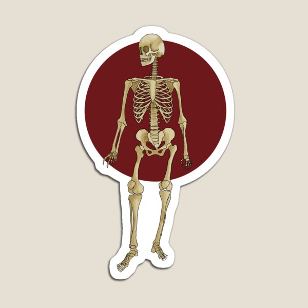 Item preview, skeleton designed and sold by Moth-Oak.