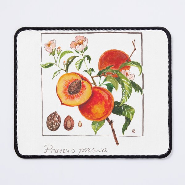 Item preview, Botanical illustration of the peach designed and sold by Fradema.