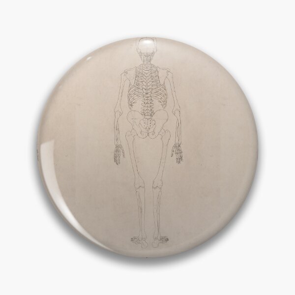 Item preview, Human Skeleton, Posterior View by George Stubbs designed and sold by Amanda1775.