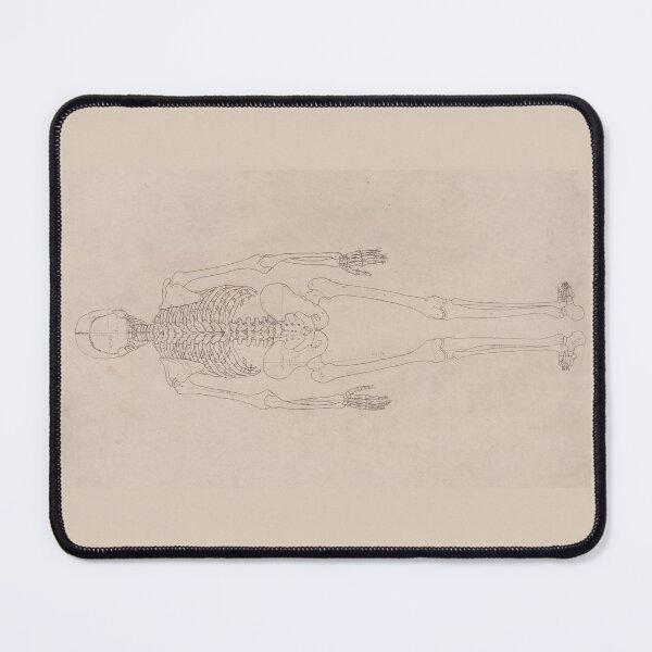 Item preview, Human Skeleton, Posterior View by George Stubbs designed and sold by Amanda1775.